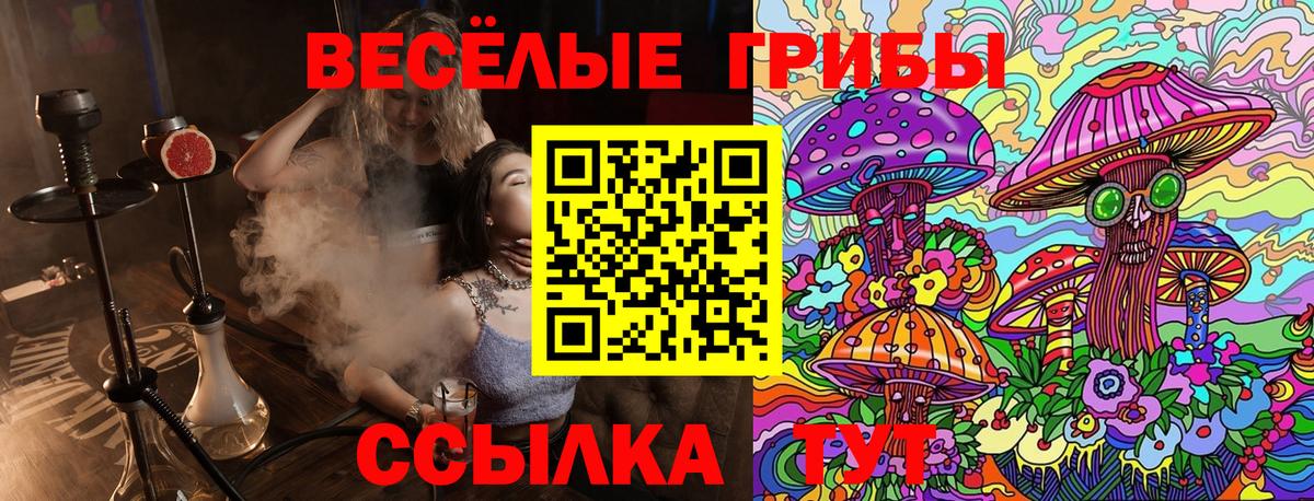 Галлюциногенные грибы Psilocybe  Вход с VPN  Рассказово 