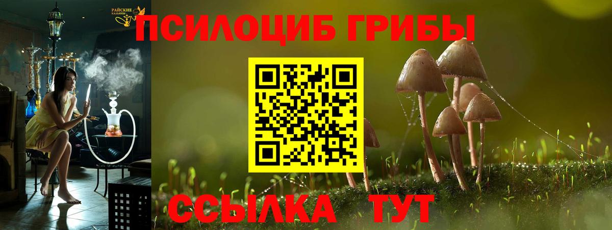Галлюциногенные грибы прущие грибы Рассказово